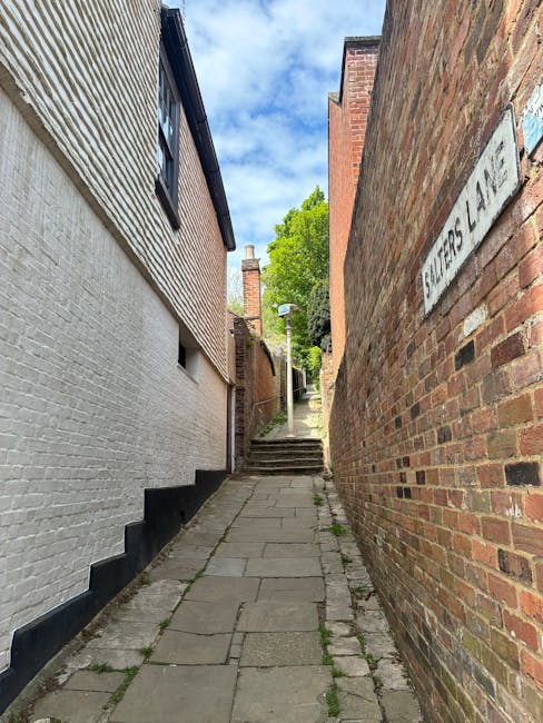 https://removalcompaniesislington.co.uk/blog/camden-passage-small-move-removals-for-narrow-lanes/